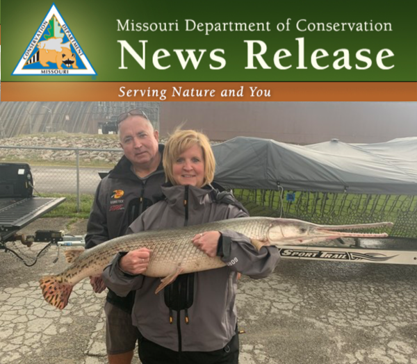 Missouri Angler Swipes State Record for Longnose Gar