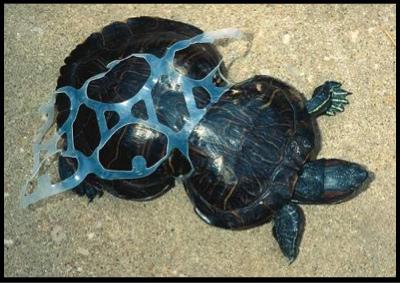 Help Bash Trash in MO! Peanut Needs Our Help!!