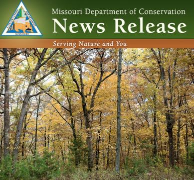 Fall Color Report for Missouri