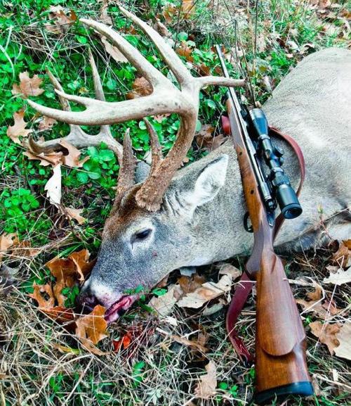 MDC Managed Deer Hunt Applications Open July 1st