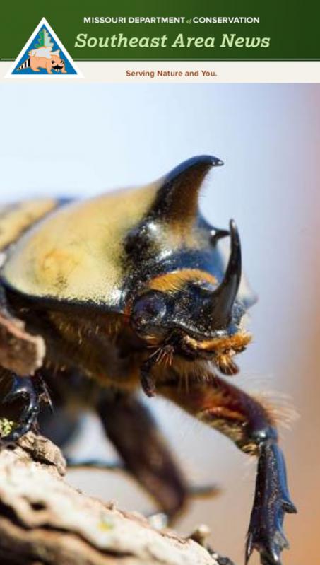 Bugs May Be Tiny, But They Have Big Stories to Tell