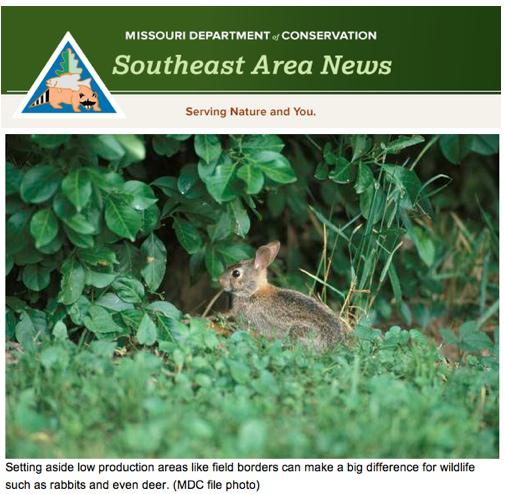 Small Acres Can Be a Big Help for Wildlife