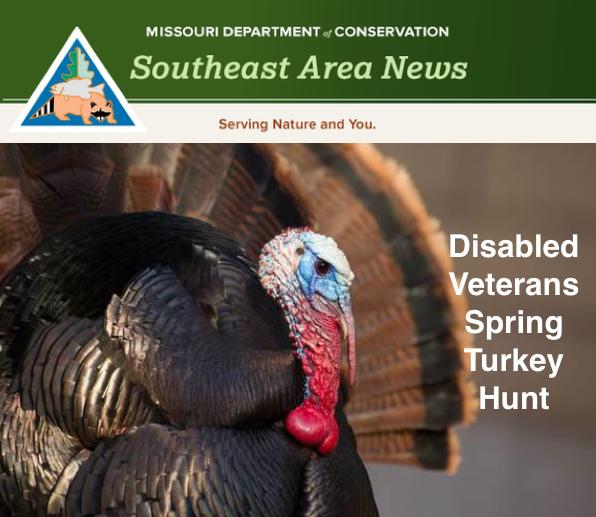 Disabled Veterans Spring Turkey Hunt
