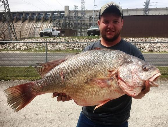 Fisherman Takes State-Record Freshwater Drum