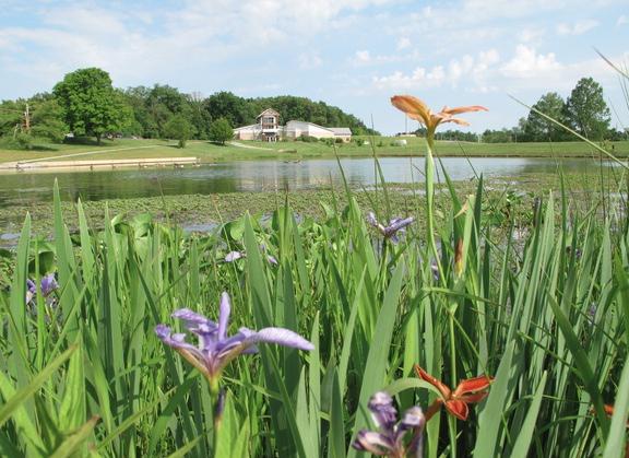 Cape Nature Center Holds Earth Day Celebration on Saturday