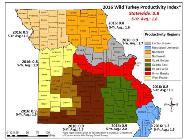 MDC Says Fall Turkey Hunting Could Be Challenging