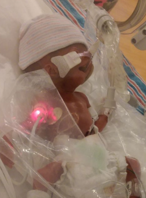 In Loving Memory of Paisley Rose Wyatt