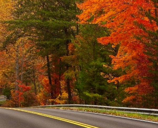 MDC Says Southeast Missouri Fall Colors Are Peaking