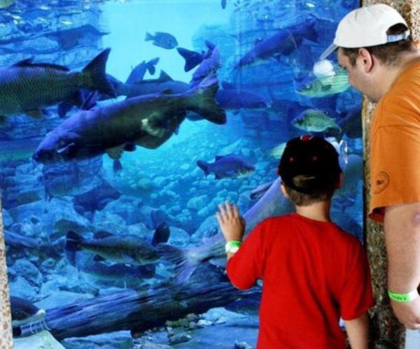 Discover Nature with MDC at MO State Fair August 10th - 20th