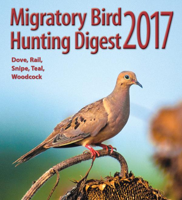 Dove Season Opens September 1, 2017
