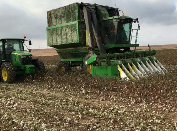 Harvest Season Is Underway on Missouri Farms