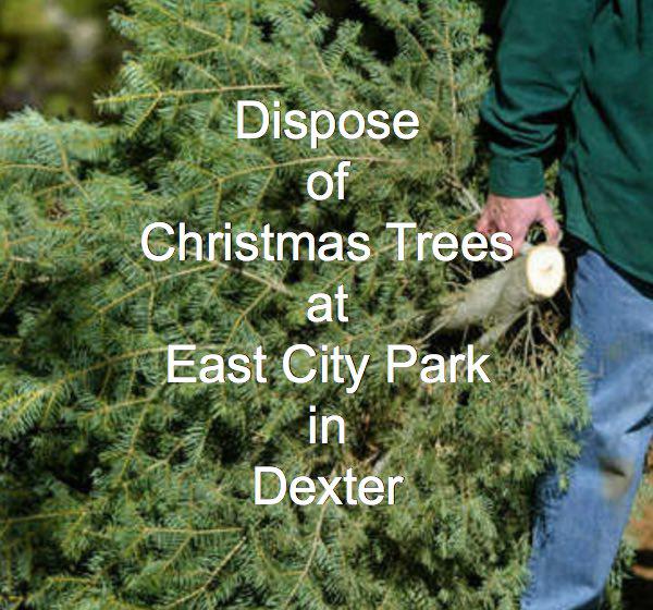 Dispose of
