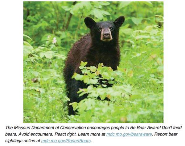 MDC Encourages People to be BEAR AWARE in Missouri