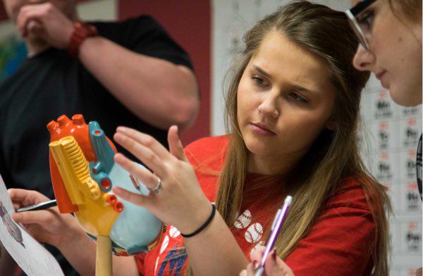 Transferring Just Got Easier Between Three Rivers and SEMO