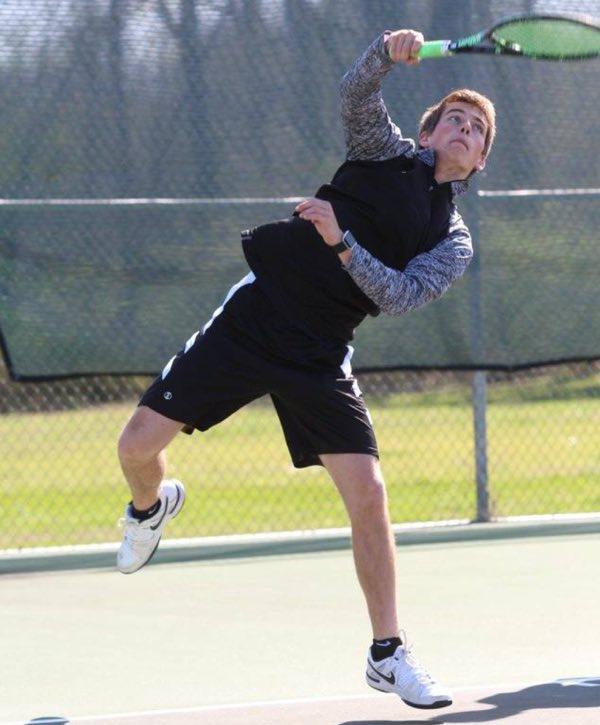 Cats Take on Dogs in Tennis