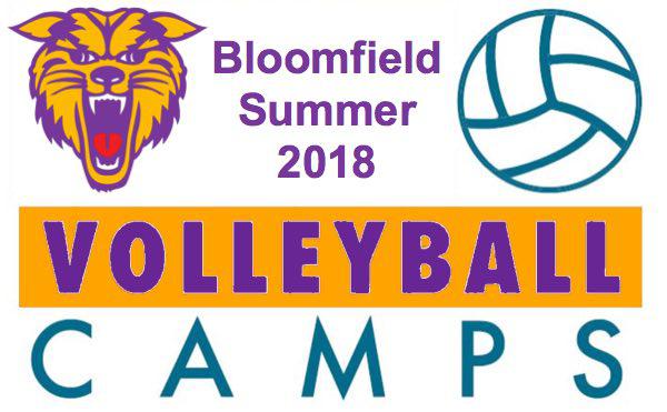2018 Little Wildcats Volleyball Camp