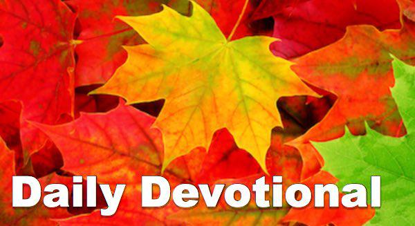 Daily Devotional - Thursday, November 1, 2018 - How to Handle Hurts