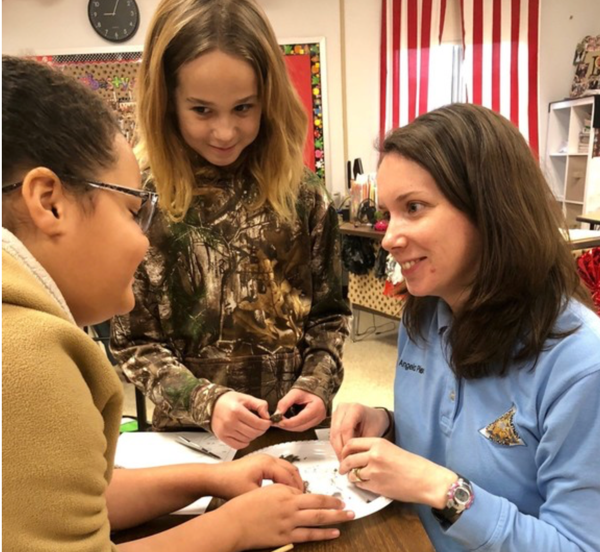 Dexter Students Dissected Owl Pellets and Learned About Food Chains