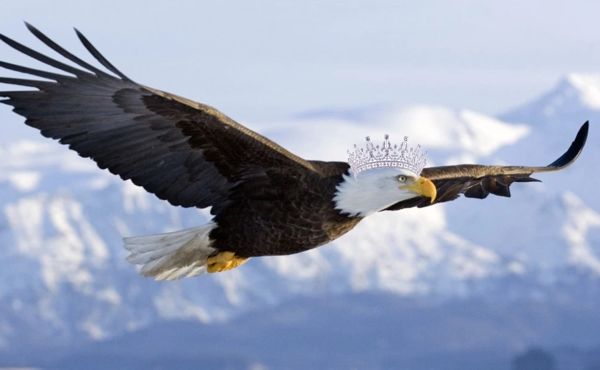 Dexter Eagles Club Proudly Presents Miss Soaring Eagle Pageant