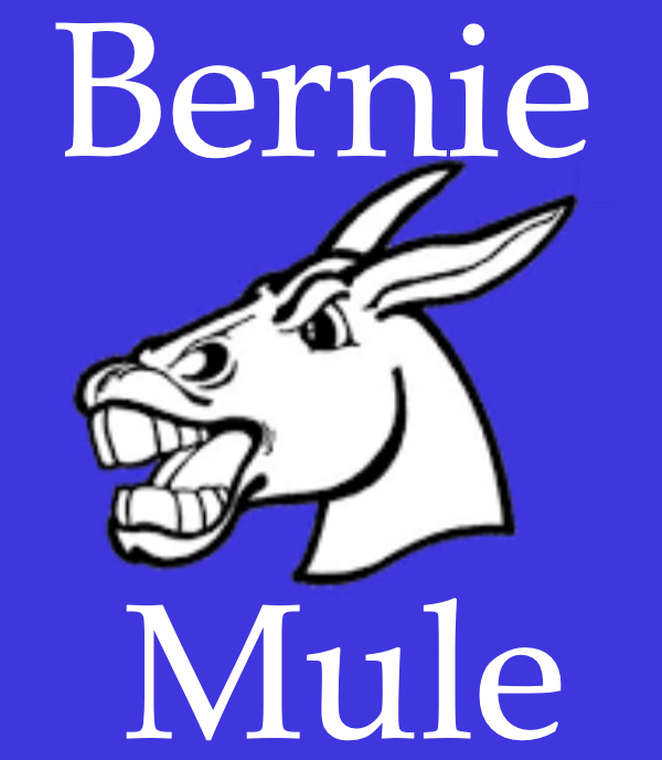 Free Sports Physicals for Bernie Athletes