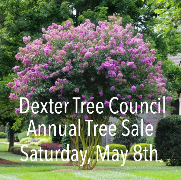 Annual Tree Sale Set for Saturday, May 8, 2021 in Dexter