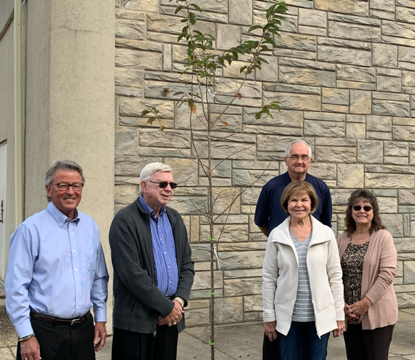 Tree Board Plants New Trees in Historic Downtown Dexter