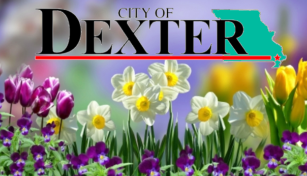 Dexter Cemetery Annual Spring Flower Removal 2022