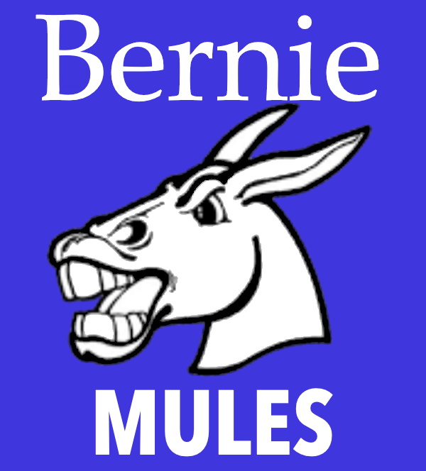 Bernie Athletes Begin Practice August 8th - Sports Physicals Are Required