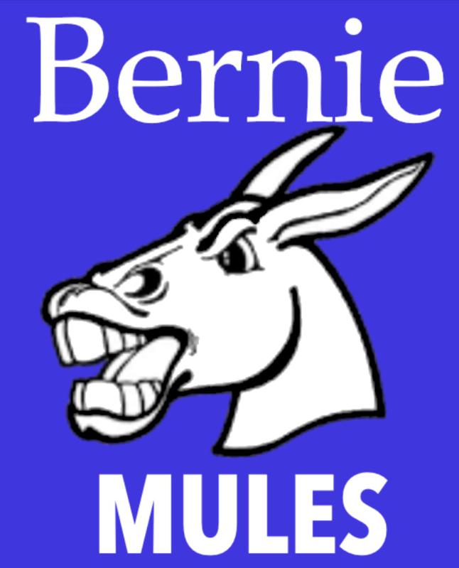 Mules Shutout Hornets 15-Zip