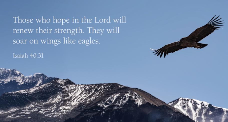 Daily Devotional - Wednesday, June 4, 2025 - On Eagles’ Wings