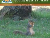 Squirrel, Black-Bass Season Open Memorial Day Weekend