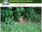 Small Acres Can Be a Big Help for Wildlife