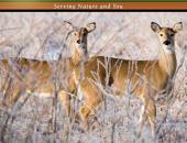New Changes for 2016-2017 Deer Regulations
