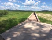 MDC Provides Accessible Duck Blind at Duck Creek