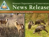 MDC Sets Turkey and Deer Hunting Dates