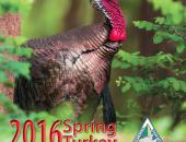 Spring Turkey Season Looks Good for Hunters