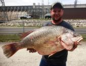 Fisherman Takes State-Record Freshwater Drum
