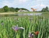 Cape Nature Center Holds Earth Day Celebration on Saturday