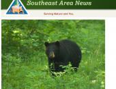 Black Bear Travels Nearly 400 Miles Across Southern Missouri