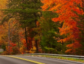 MDC Says Southeast Missouri Fall Colors Are Peaking