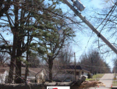 Storm Cleanup Underway in Dexter