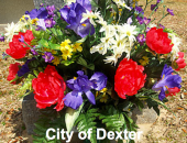 Annual Spring Flower Removal