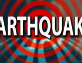 Did You Feel the Earthquake?