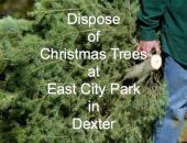 Dispose of 
