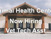 Animal Health Center Seeks Vet Tech Assistant