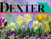 Dexter Cemetery Annual Spring Flower Removal